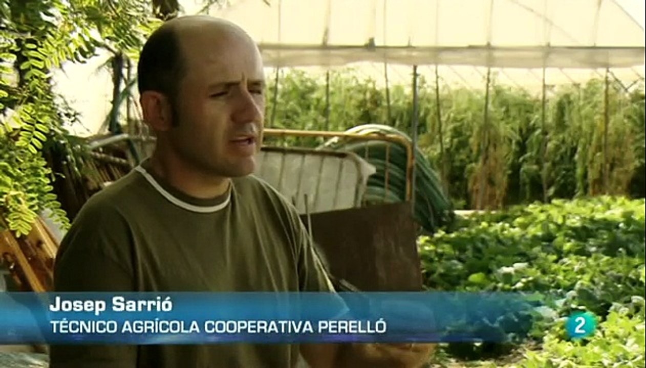 Peligro en la colmena