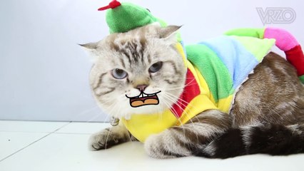 We Are Lovely Pet -  เชิญรับยาช่อง 2  [Ep.12] 18+