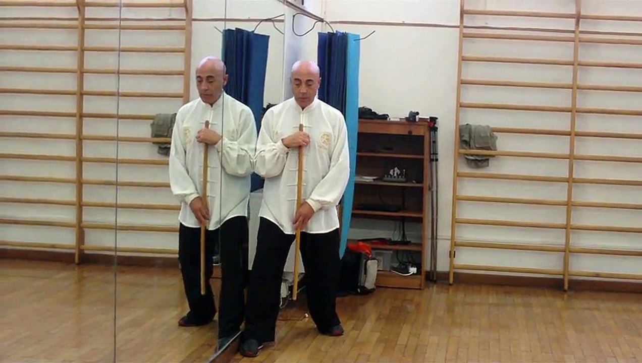 LE GEOMETRIE DELLO SPOSTAMENTO NEL TAIJI QUAN - M° FLAVIO DANIELE