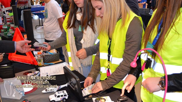 IND Fleurus 6TQ Gestion MINI ENTREPRISE