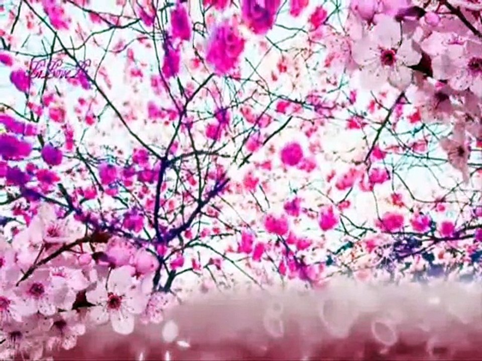 EYLEM AKTAŞ - GELMİŞ BAHAR GEÇMİŞ YAZLAR N'EYLEYİM