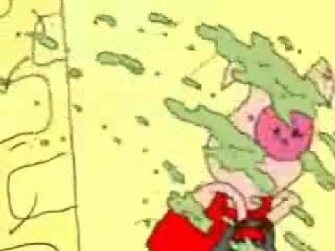 Les trois petits cochons à noel