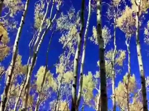 Bekir ÜNLÜATAER-Unutur Sanma Sakın Bir Defa Seven Gönül -