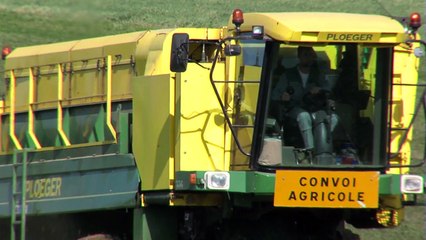 TRISKALIA - Film institutionnel (Version anglaise) - mars 2015