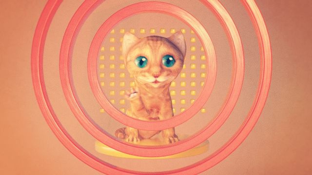 What's Inside - Kitty Chow