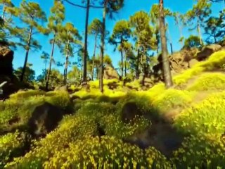 Musa Eroglu-Yare Söyleme