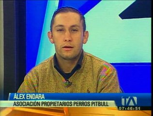 ¿La agresividad de los perros depende de la raza?