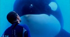 Watch Blackfish Full Movie