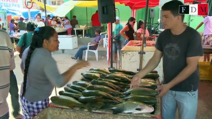10 min pour l'ONU - Brésil : un nouveau monde vert