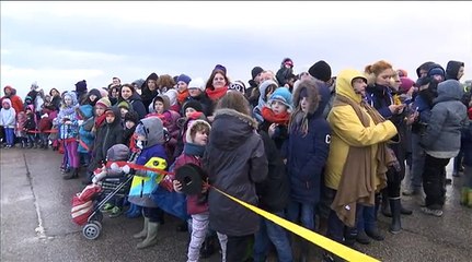 Des phoques retrouvent leur liberté