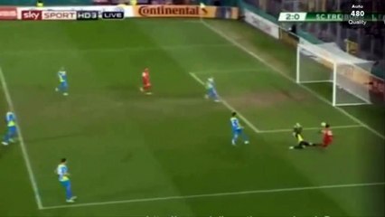 Vladimir Darida Goal Freiburg 2 - 0 Koln DFB Pokal 3-3-2015