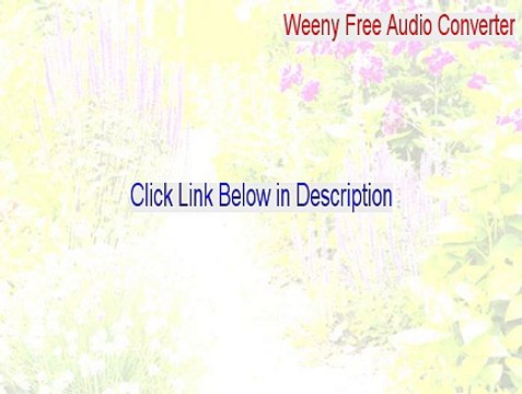 Weeny Free Audio Converter Keygen (weeny free audio converter скачать)