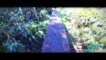 Randonnée au Trou de Fer par la Forêt de Belouve (Ile de la Réunion)