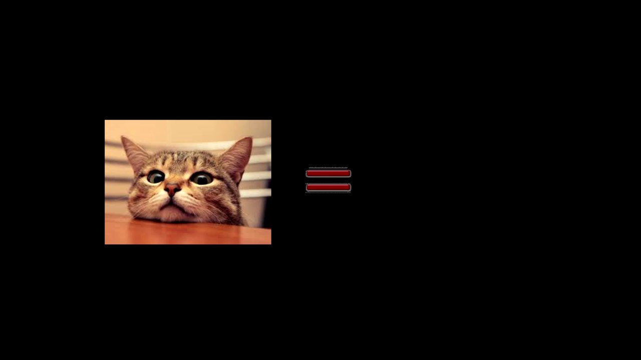 Cats are Illuminati!!!