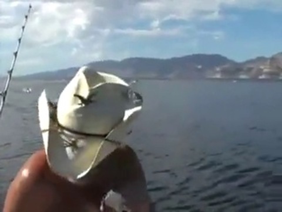 Oh My God – The Part Of Sea Full of Big Fish - Incredible Video – You Never Ever Seen