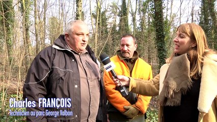 Le JT de la Seine-Saint-Denis n42