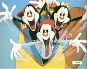 Animaniacs Polish opening