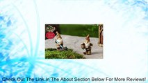 Miniature Gnome Statue Set Mini Fairy Garden Vintage D�cor Dollhouse Accessory Review