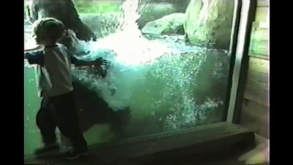 Kids At The Zoo Compilation