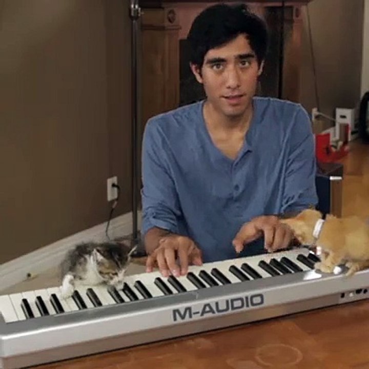 Kitten on the Keyboard
