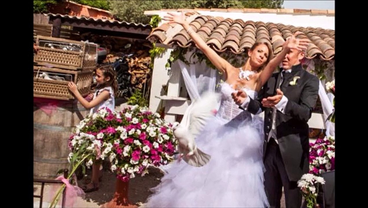 MARSEILLE LACHER DE COLOMBES 0664937284