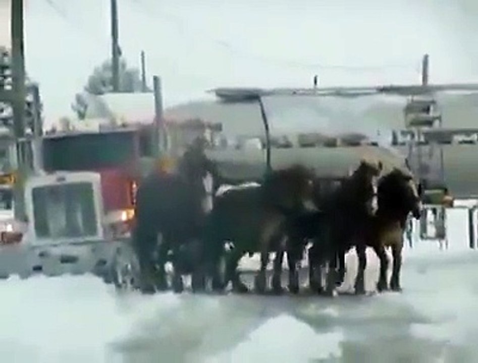 Now that folks....is what you call horsepower!!!