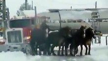 Now that folks....is what you call horsepower!!!