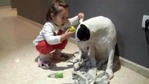 Une petite fille joue la vétérinaire avec un chien
