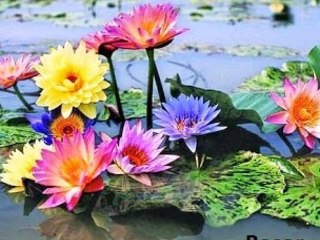 GÖKHAN SEZEN- RÜZGAR SÖYLÜYOR