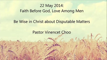Be Wise In Christ About Disputable Matters