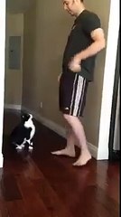 Best Kitty Hug Ever!