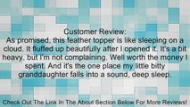 Sleep Solutions Luxury Down-Top Feather Bed Review
