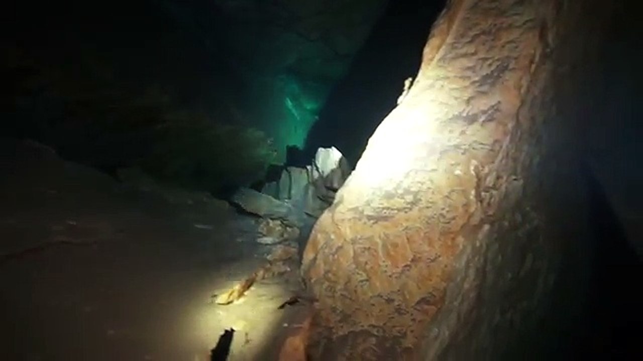 Texas Blind Salamander in the Edwards Aquifer[360P]