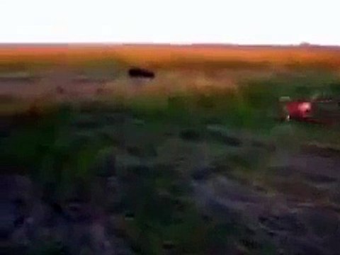Eagle attacks man!!! Орел нападает на человека!!!