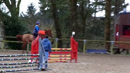 Cheveyo Z , entraînement jeunes chevaux hennebont 03/03/2015