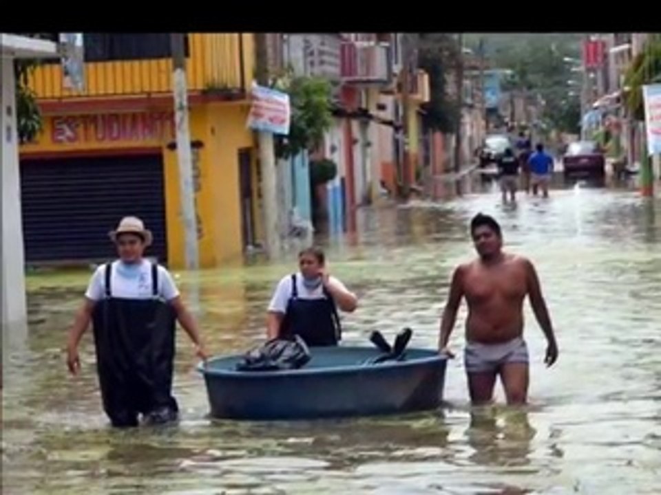 El Cólera Enfermedad - Infección, Causas, Síntomas y Tratamiento