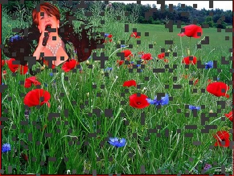 LES MILITAIRES 2014 PAR CHANTAL MATHIEU