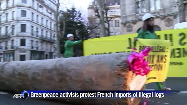 Greenpeace activists protest French imports of illegal logs