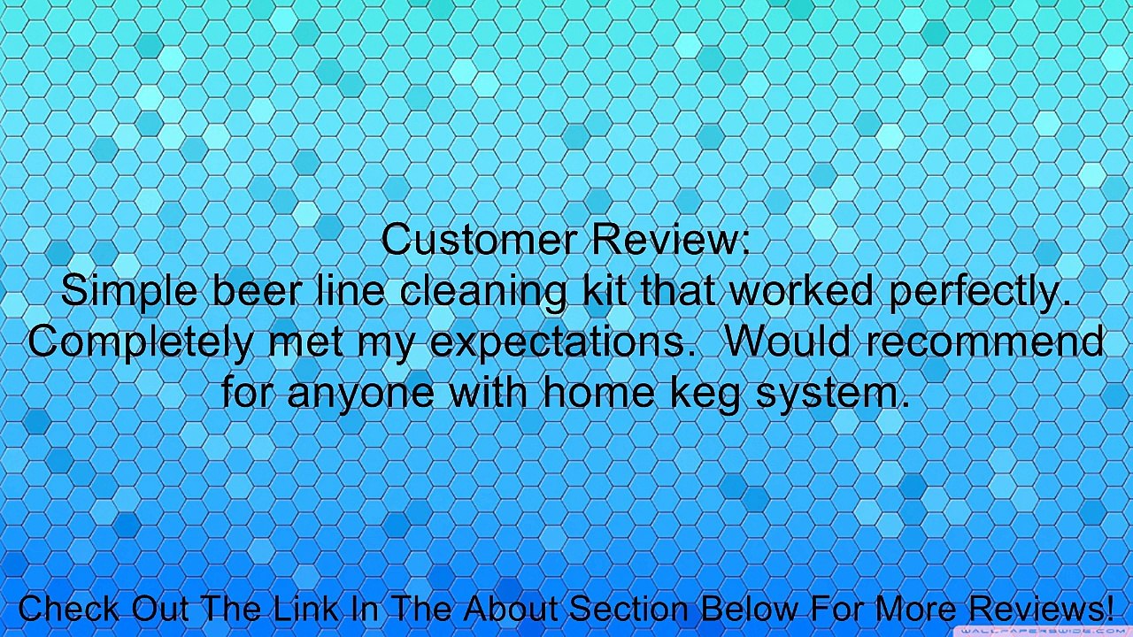 Kegco Beer Line Cleaning Kit 1 Qt. Bottle w/ 4 oz. Cleaner Review