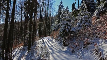 Melody of February - Melodia lutego