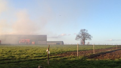 Feu dans une exploitation: 30 bovins périssent
