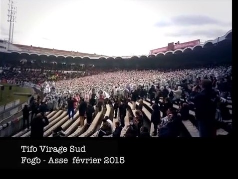 Tifo multicolore du Virage Sud Bordeaux face à S-Etienne