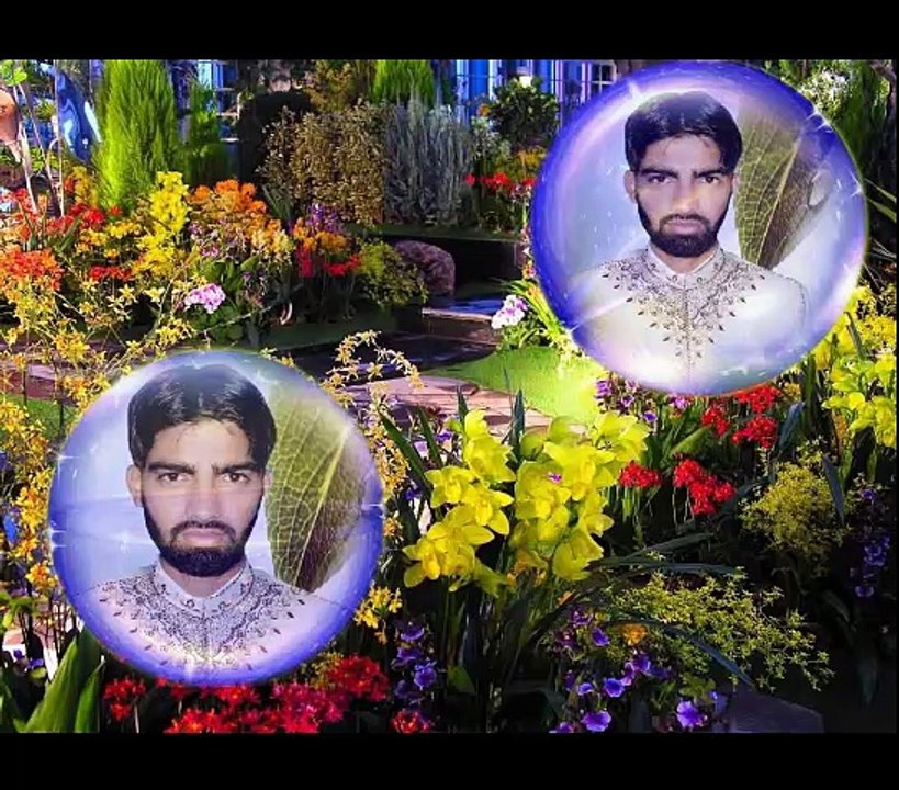 sail 70 rupy  70 rupy  70 rupy