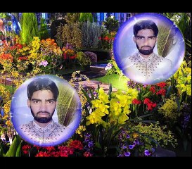 sail 70 rupy  70 rupy  70 rupy