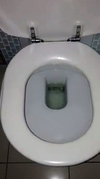 Avant d'utiliser les toilettes en Australie ...