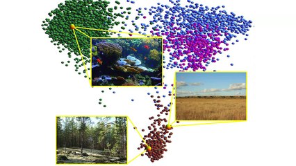 How our microbes make us who we are