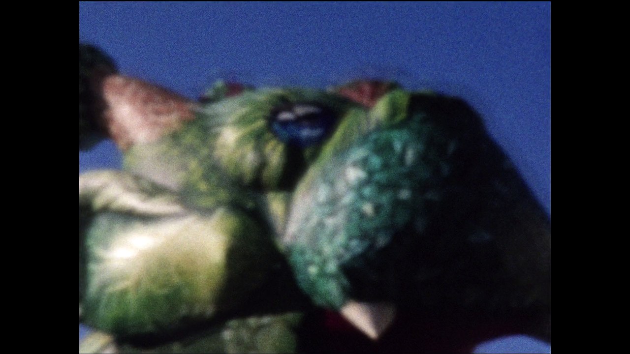 Naissance d'Amour - Ville Folle