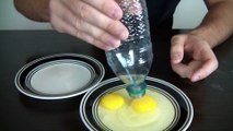 10 Amazing Science Experiments you can do with Eggs