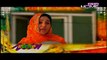 Googly Mohalla World Cup Special Play - Episode 11 - PTV Drama - 3rd March 2015 Watch Free All TV Programs. Apna TV Zone