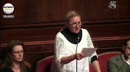 Paglini (M5S): "Ecco come Renzi sperpera i soldi dei cittadini!" - MoVimento 5 Stelle